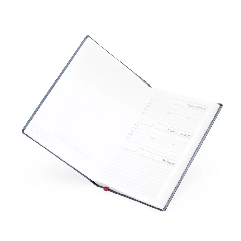 Agenda Diária 2025 Personalizada