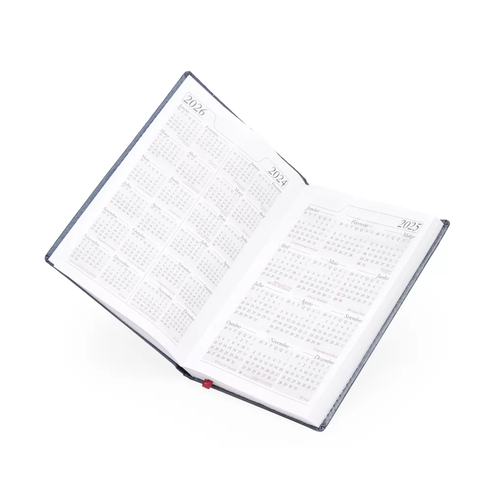 Agenda Diária 2025 Personalizada