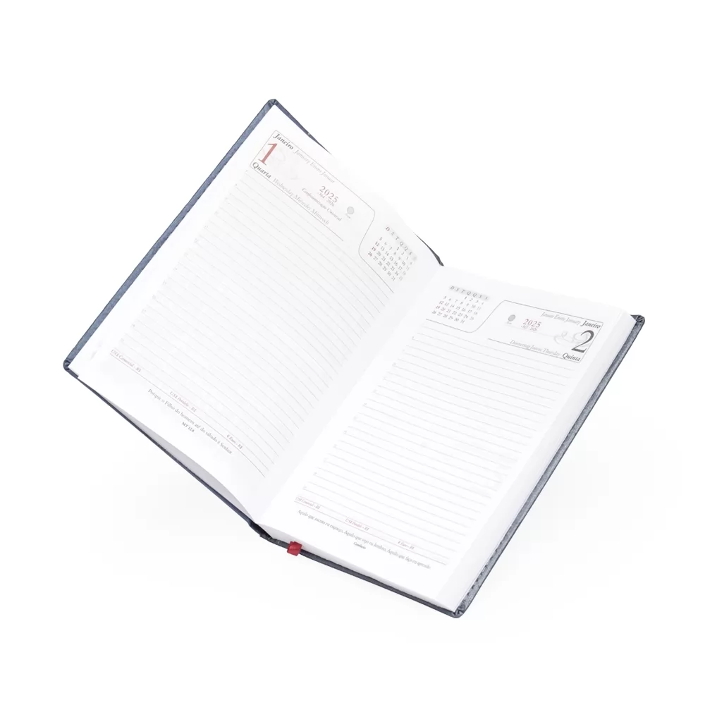 Agenda Diária 2025 Personalizada