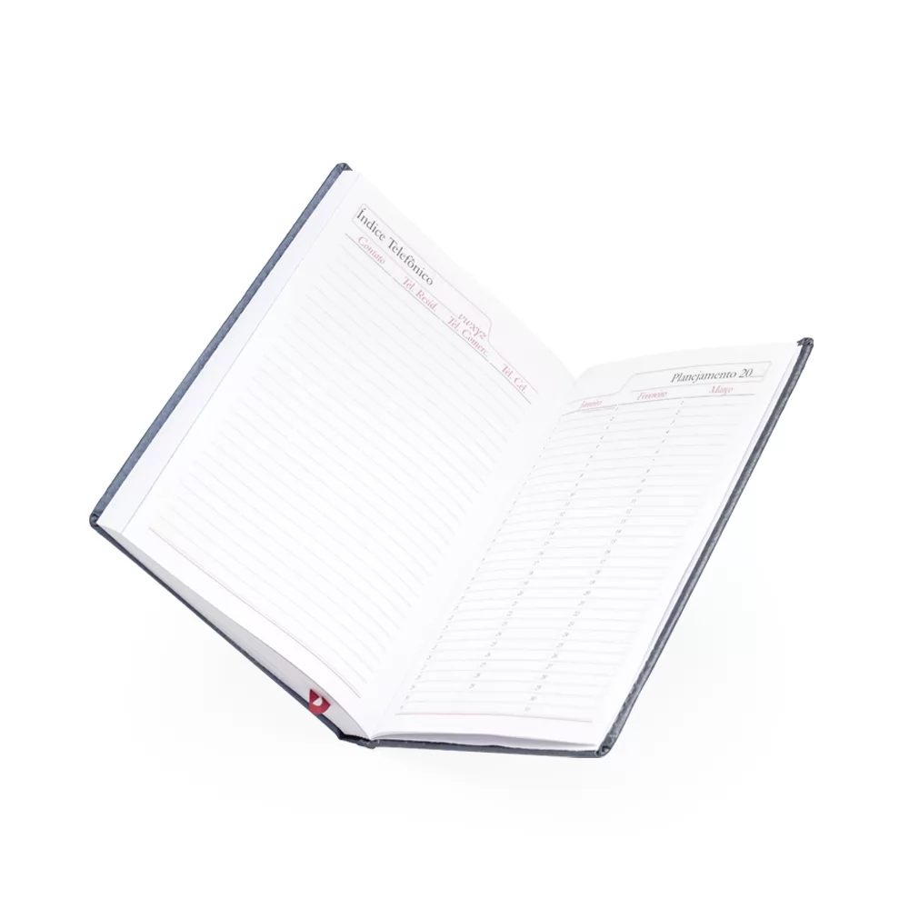 Agenda Diária 2025 Personalizada