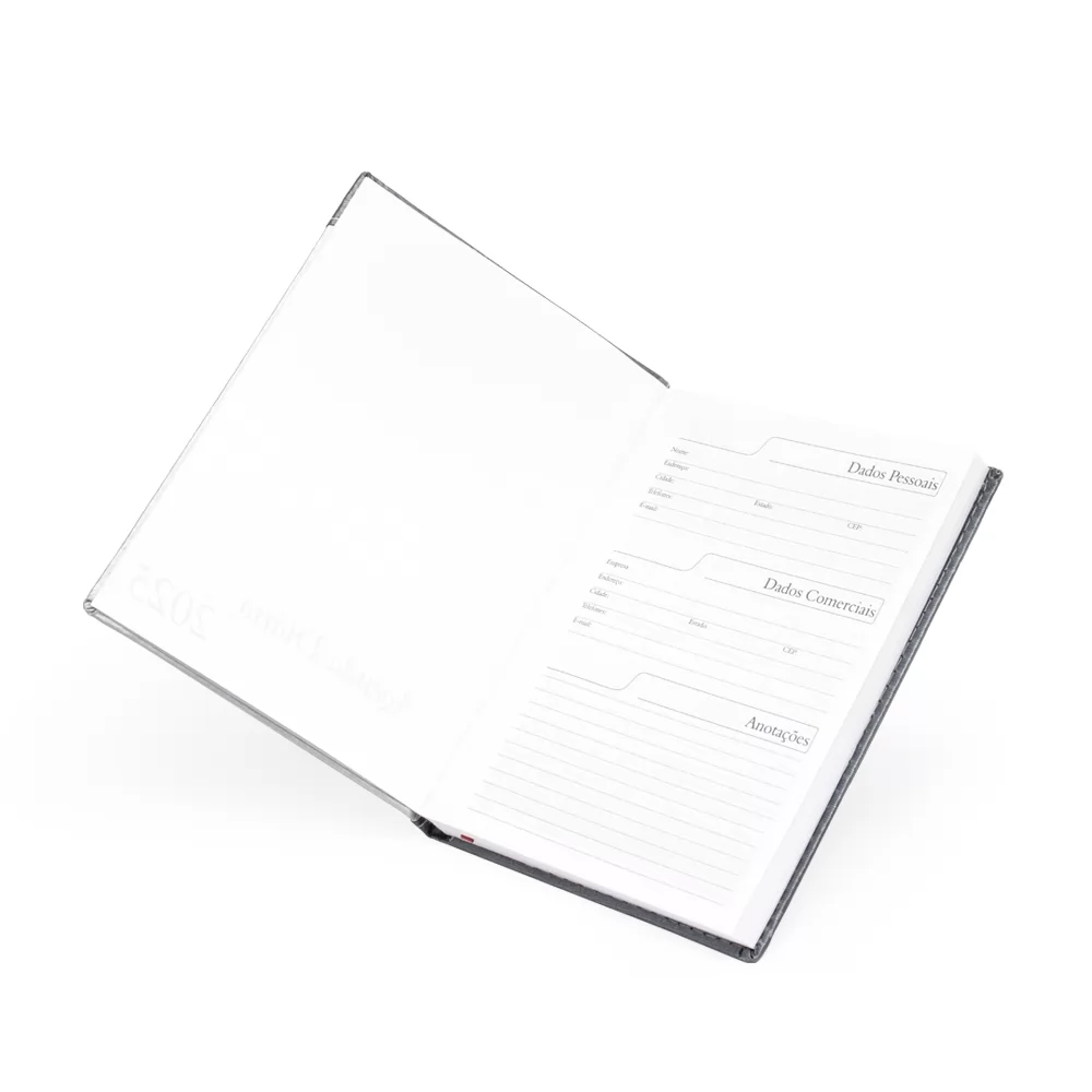 Agenda Diária 2025 Personalizada