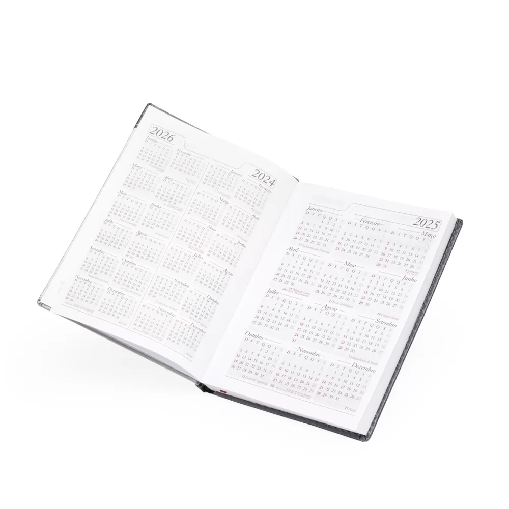 Agenda Diária 2025 Personalizada