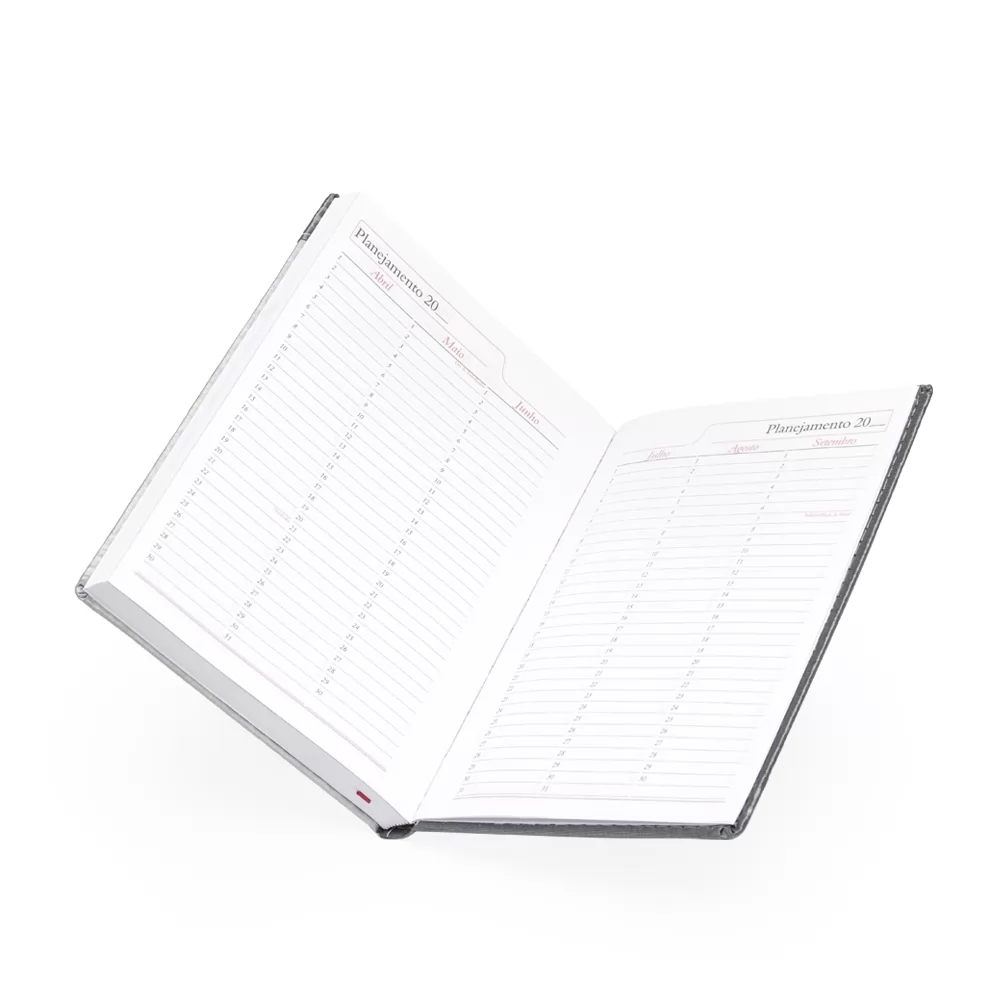 Agenda Diária 2025 Personalizada