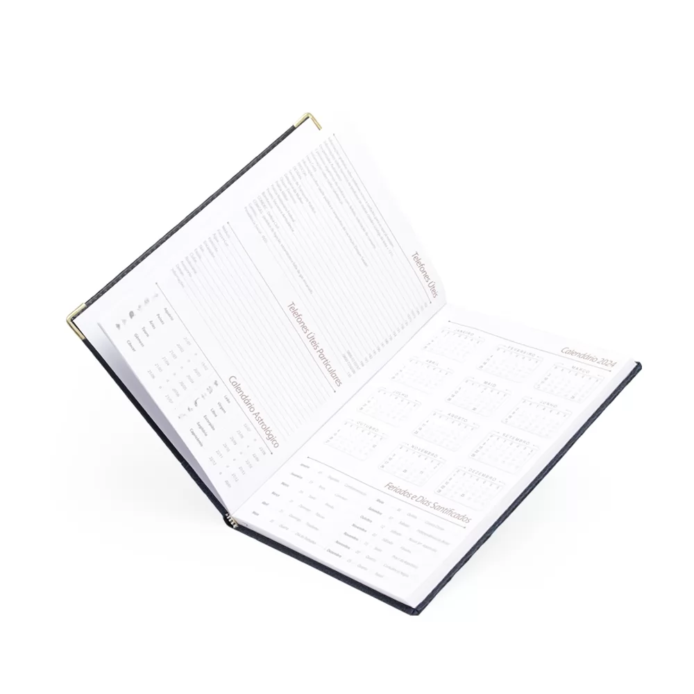 Agenda Diária 2025 Personalizada