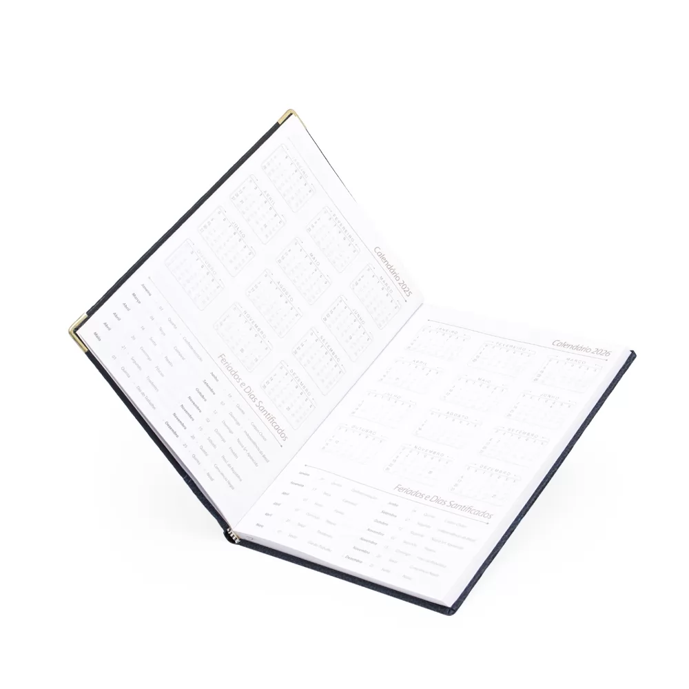 Agenda Diária 2025 Personalizada