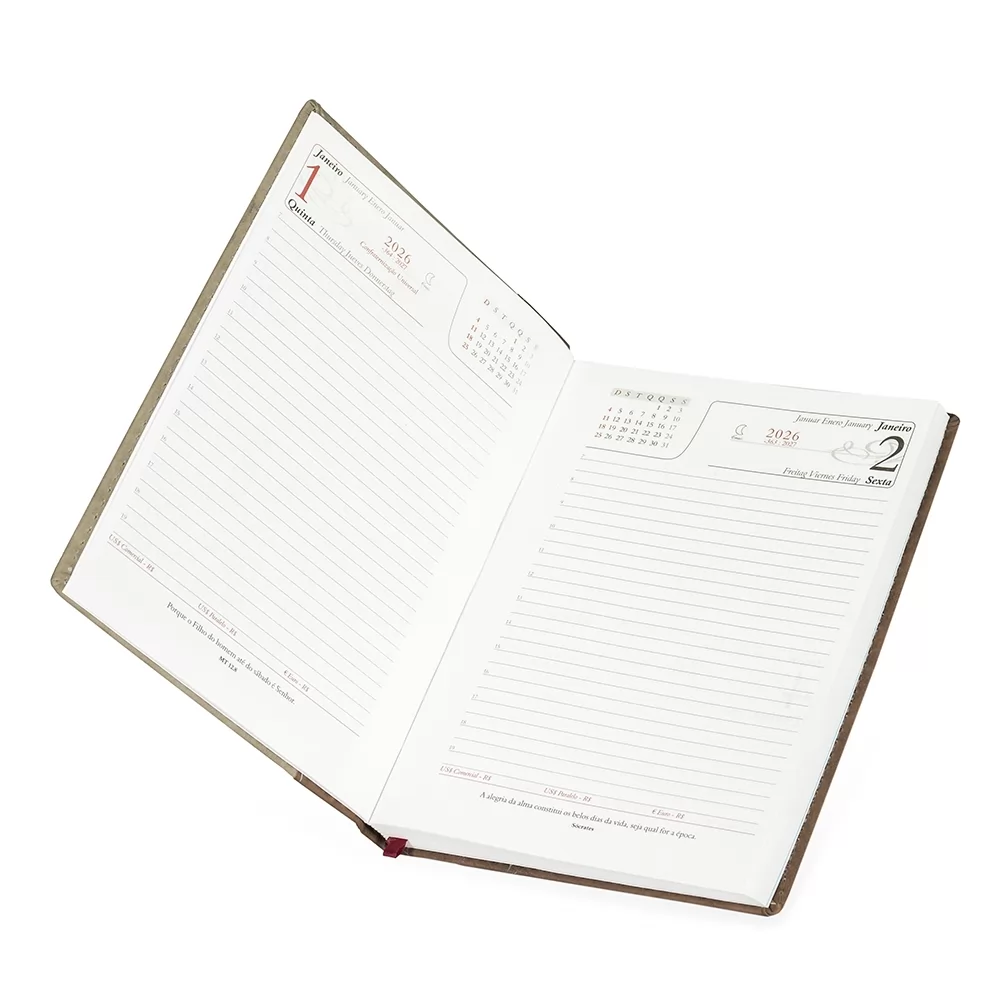 Agenda Diária 2026 Personalizada