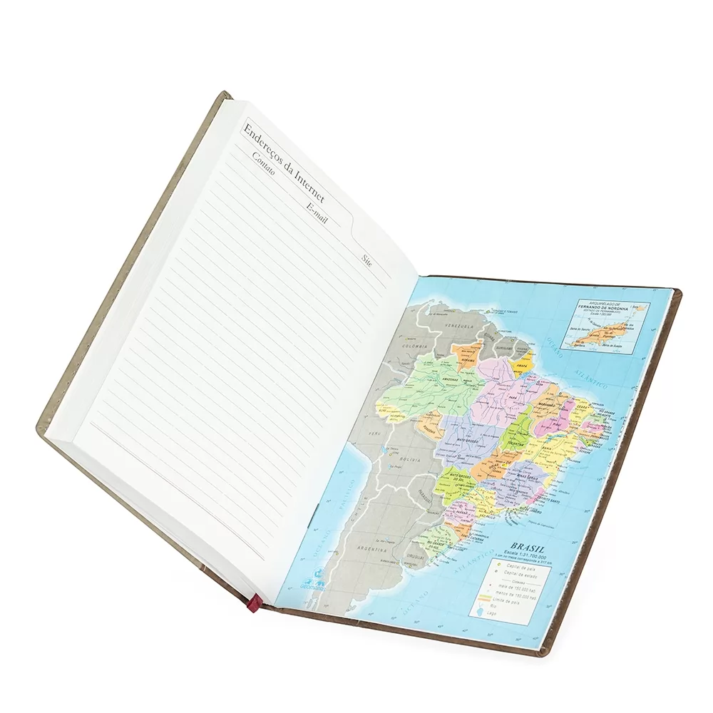 Agenda Diária 2026 Personalizada