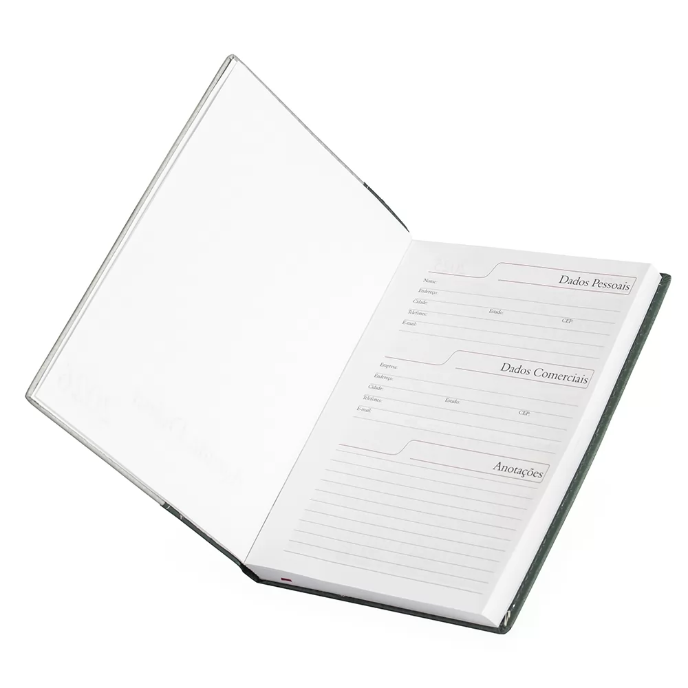 Agenda Diária 2026 Personalizada