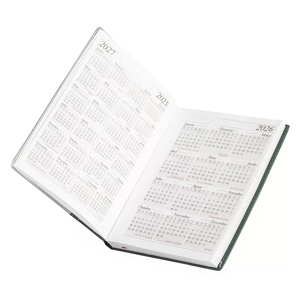 Agenda Diária 2026 Personalizada
