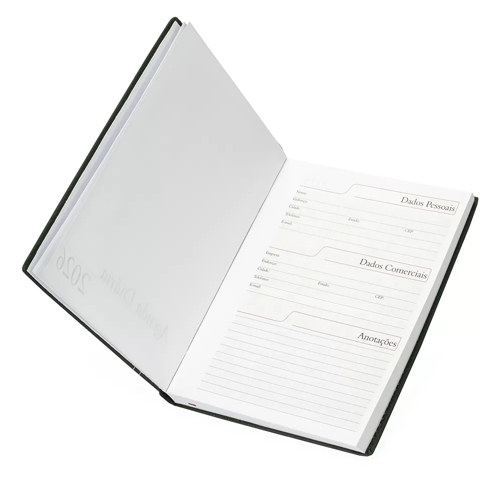 Agenda Diária 2026 Personalizada