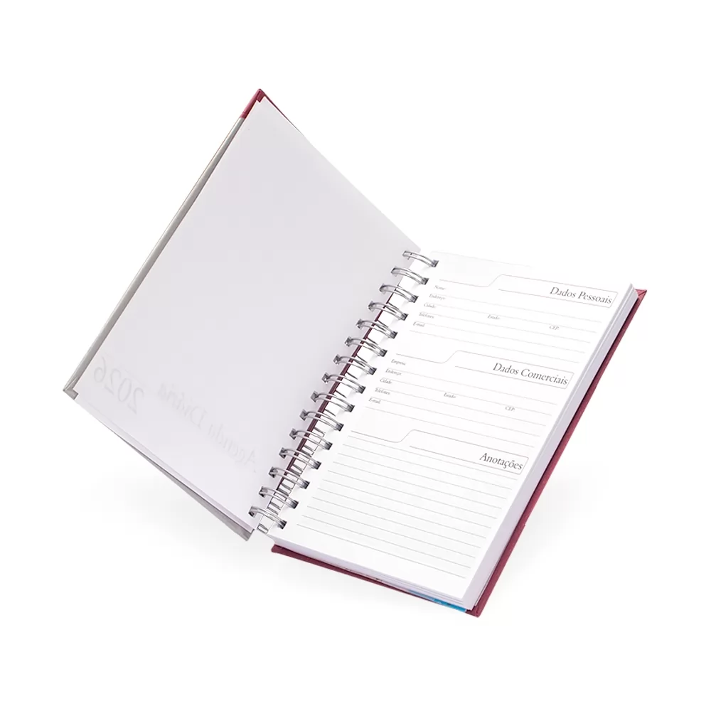 Agenda Diária 2026 Personalizada