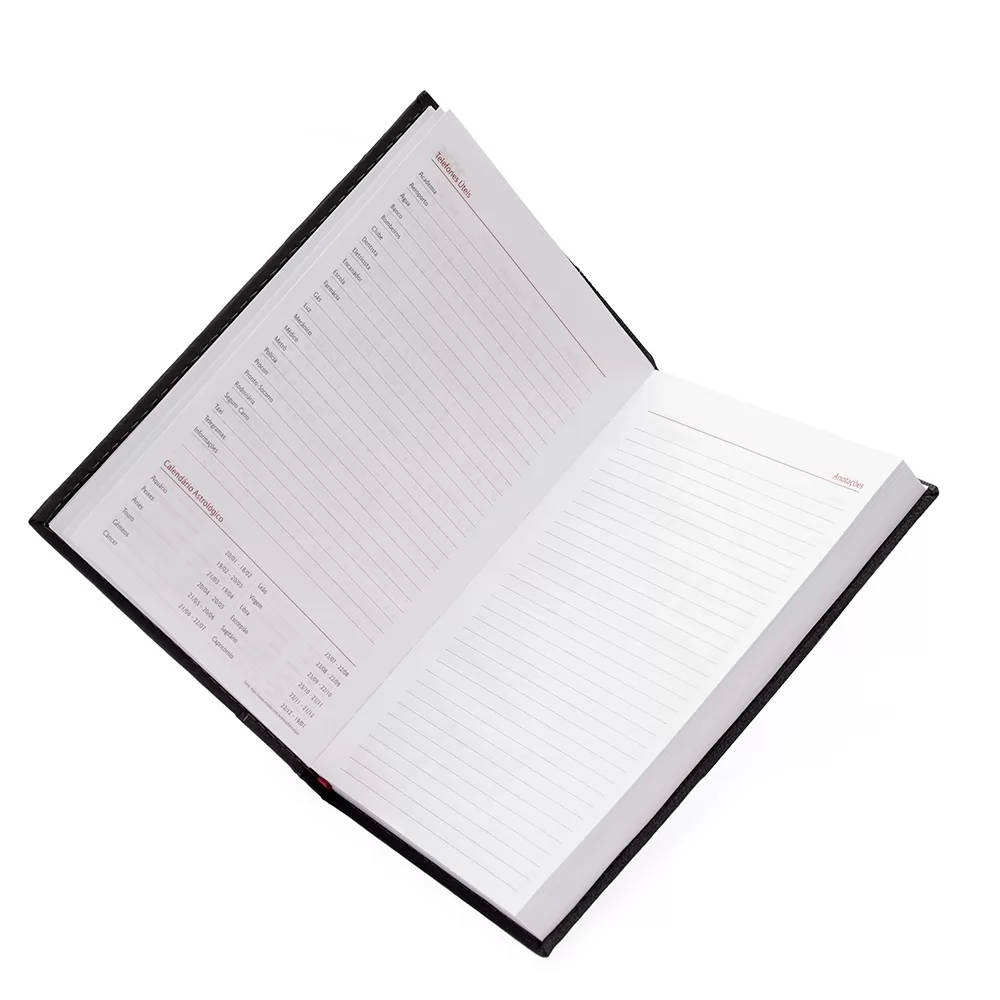 Agenda Diária 2026 Personalizada