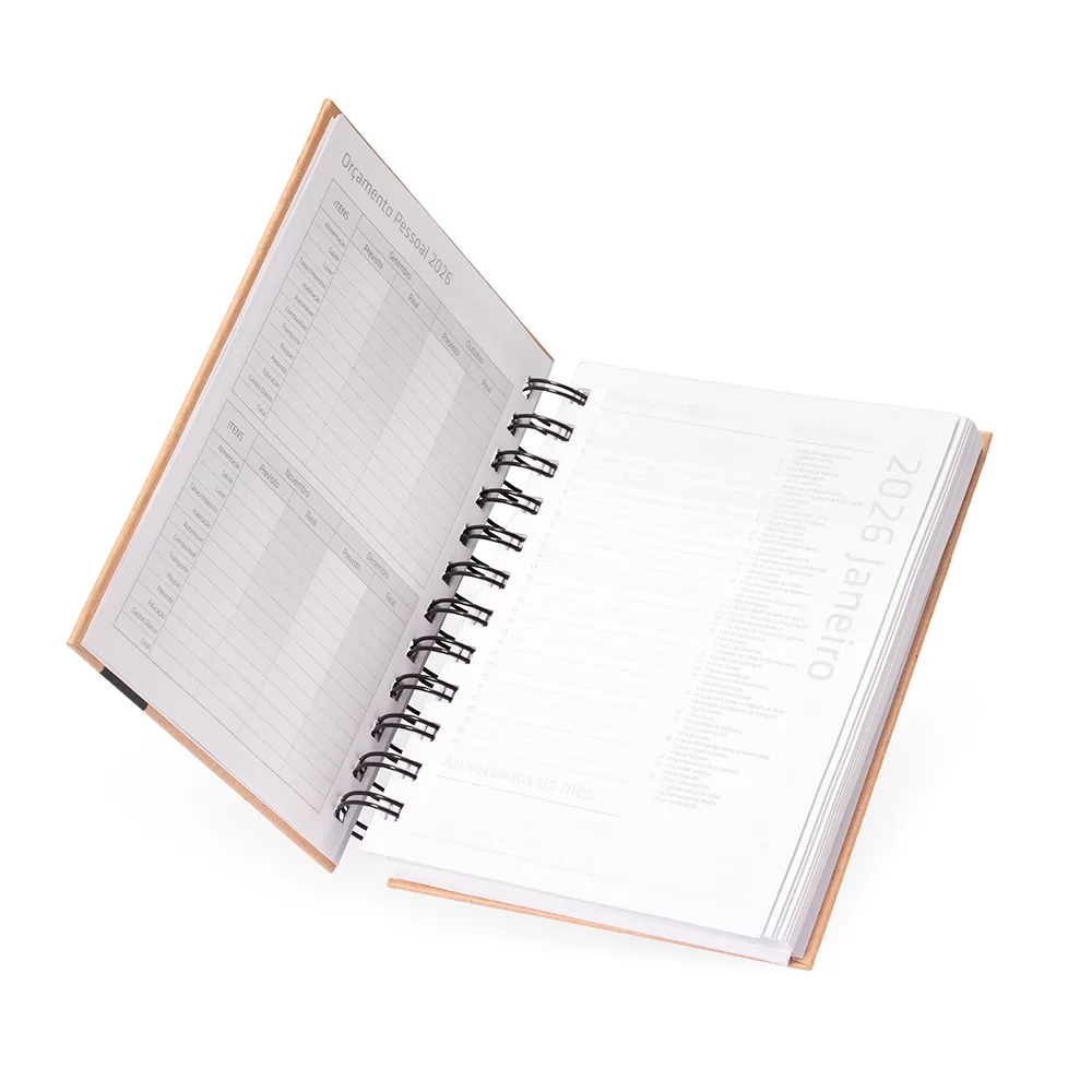 Agenda Diária 2026 Personalizada