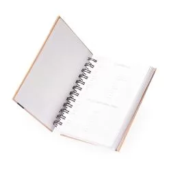 Agenda Diária 2026 Personalizada Agenda Diária 2026 Personalizada
