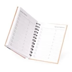 Agenda Diária 2026 Personalizada Agenda Diária 2026 Personalizada