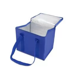 Bolsa Térmica 12 Litros Personalizada Bolsa Térmica 12 Litros Personalizada