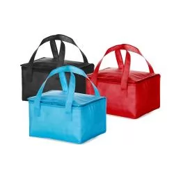 Bolsa Térmica 4 Litros Personalizada  Bolsa Térmica 4 Litros Personalizada