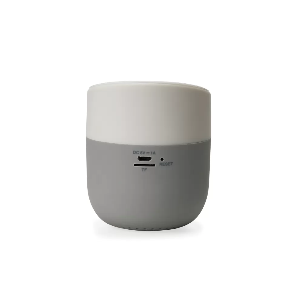 Caixa de Som com Carregador por Indução Personalizada