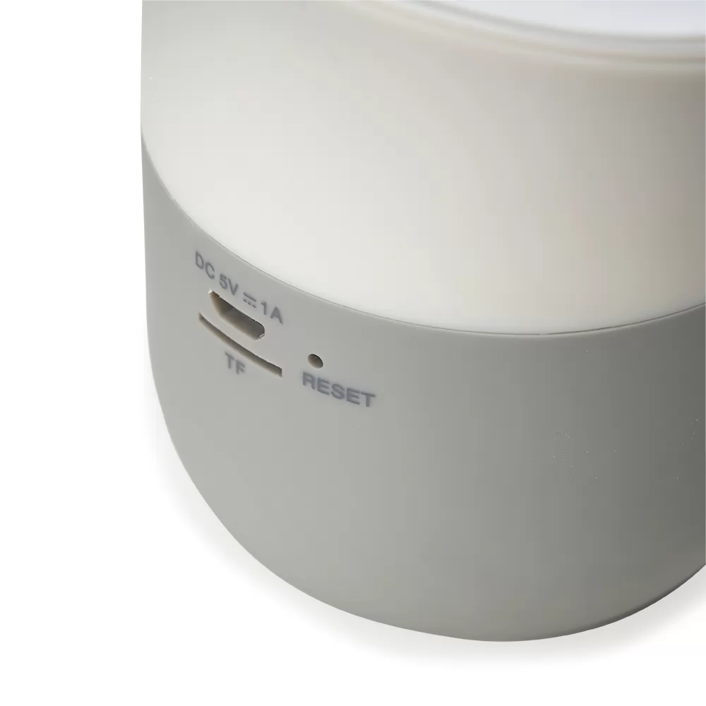 Caixa de Som com Carregador por Indução Personalizada