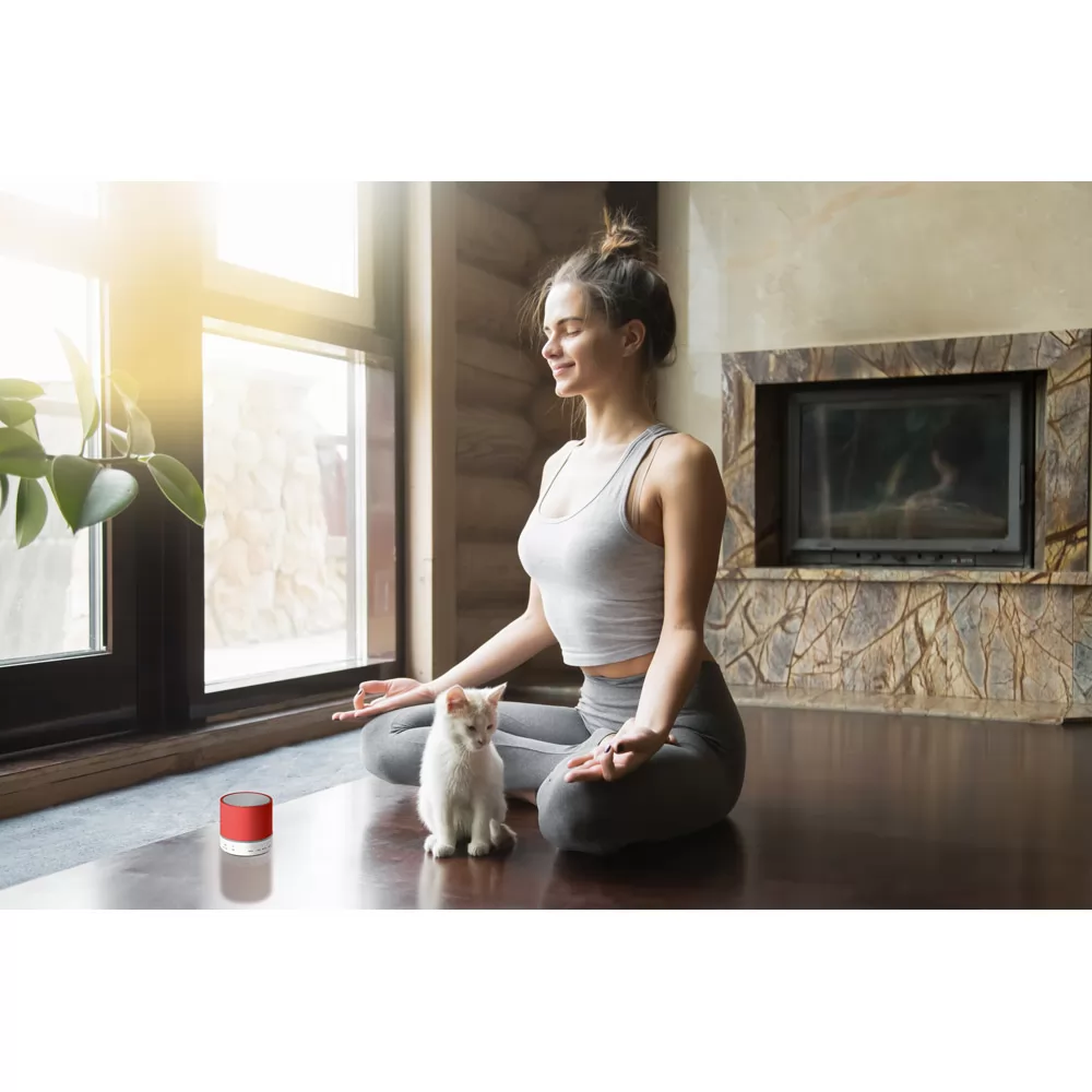 Caixa de som com microfone em ABS Personalizada