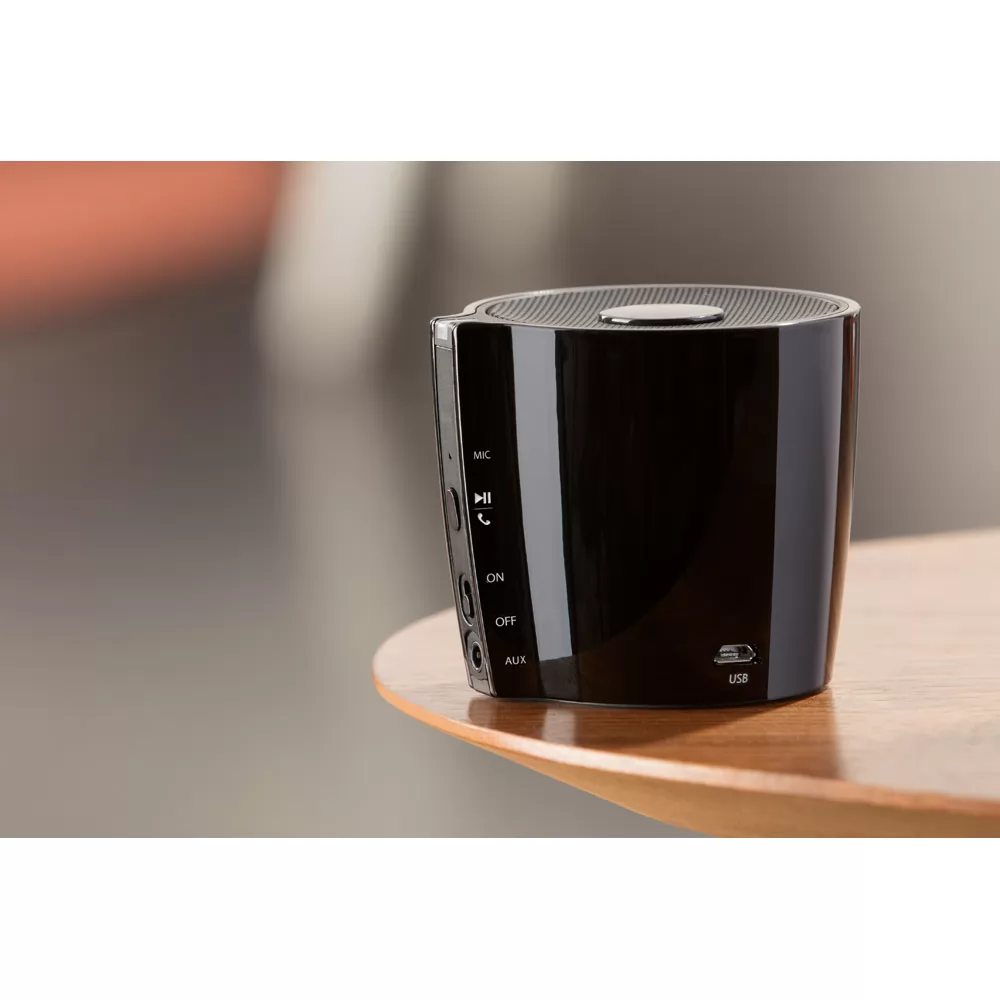 Caixa de Som Personalizada