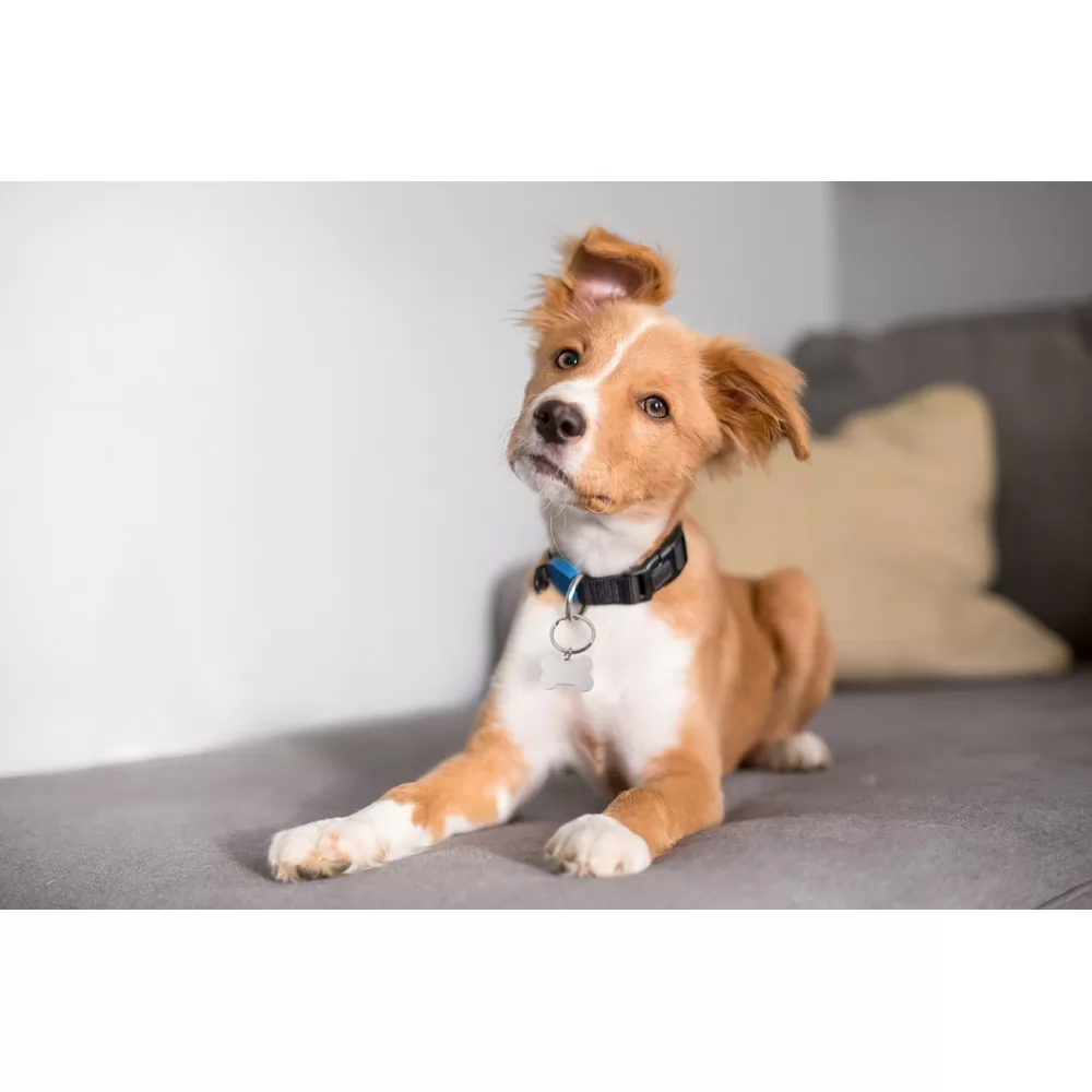 Chaveiro osso Personalizado