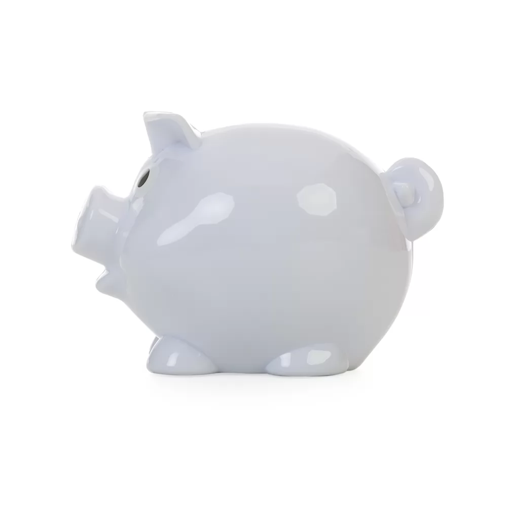 Cofre Plástico Porquinho Personalizado