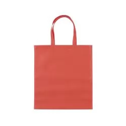 Sacola de TNT Personalizada